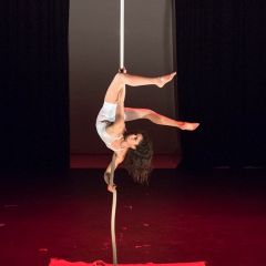 Casus Circus