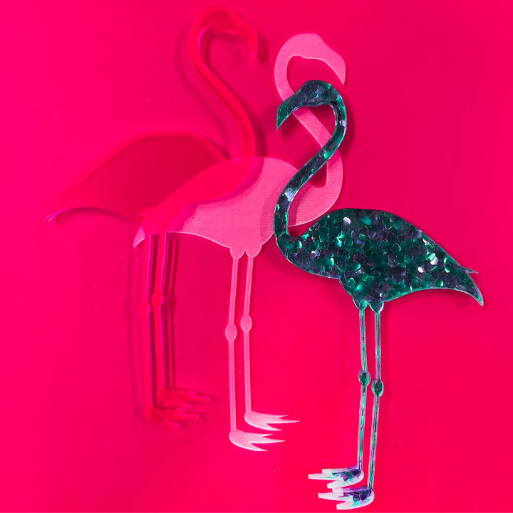 Flamingos